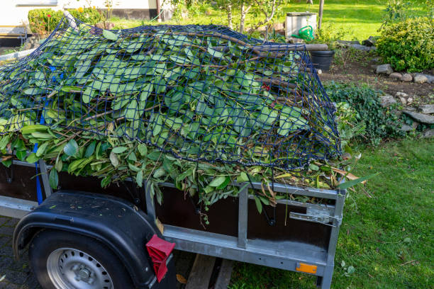 Best Recycling Services for Junk  in Boulder Hl, IL